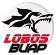 Đội bóng Lobos Buap