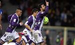 Toulouse 2-2 ES Troyes AC (French Ligue 1 2012-2013, round 25)