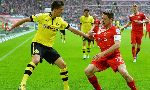 Fortuna Dusseldorf 1-2 Borussia Dortmund (German Bundesliga 2012-2013, round 31)