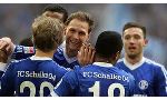 Schalke 04 1 - 3 Hoffenheim (Cúp Quốc Gia Đức 2013-2014, vòng loại 3)