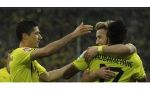 Hoffenheim 2-2 Borussia Dortmund (Germany Bundesliga 2013-2014, round 16)