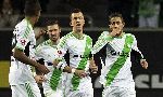 Wolfsburg 1-1 Hamburger (German Bundesliga 2013-2014, round 14)