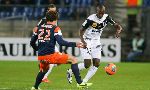 Montpellier 1-1 Guingamp (French Ligue 1 2013-2014, round 14)
