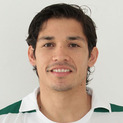 Cầu thủ Matias Fernandez