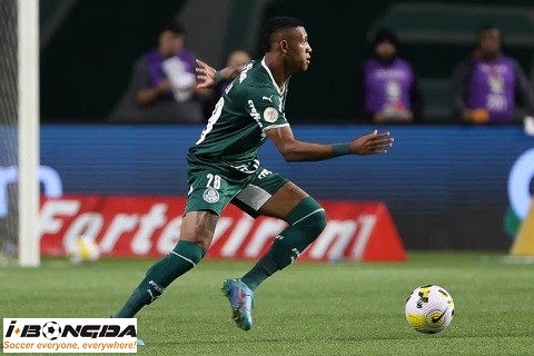 Nhận định dự đoán San Lorenzo vs Palmeiras 7h30 ngày 4/4