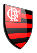 Đội bóng Flamengo