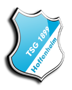 Đội bóng Hoffenheim